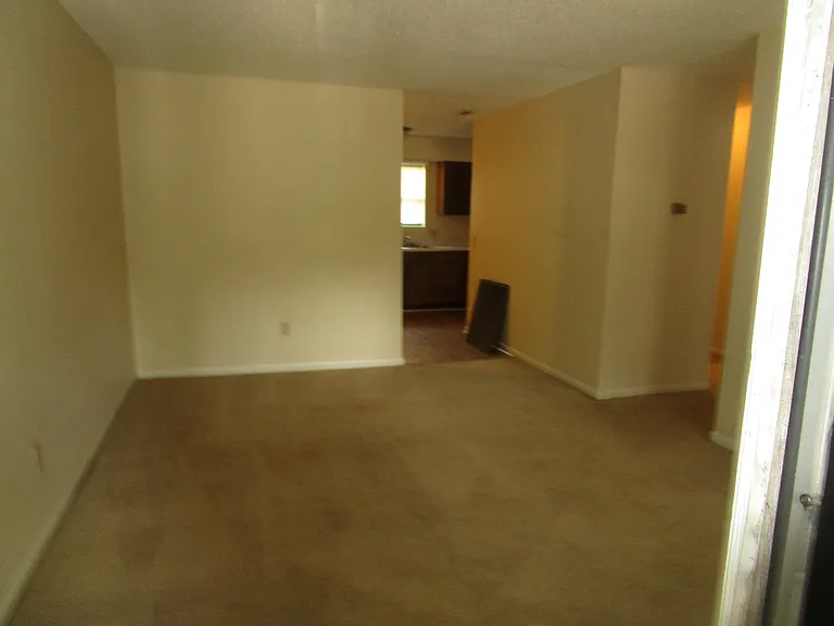 251 Rast St — Photo 2