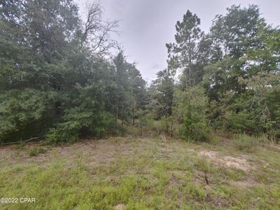 0 Oak Hill Rd, Chipley, FL, 32428