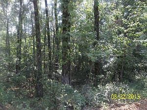 2nd image of Deer Road Hilltop Area