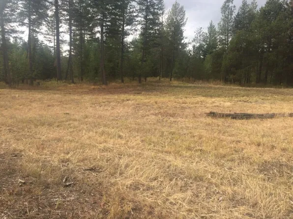 42 Ball Ln, Newport, WA 99156