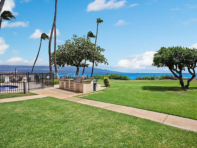 Hauoli St — Photo 33