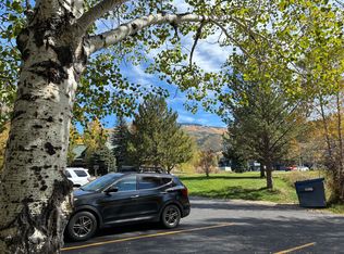 14 Redwood Ct, Steamboat Springs, CO 80487