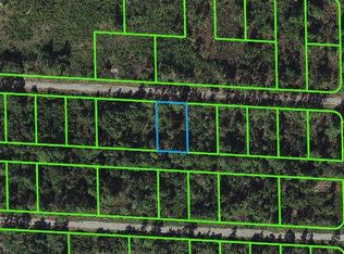 3410 Sandhill Crane Ave, Lake Placid, FL 33852