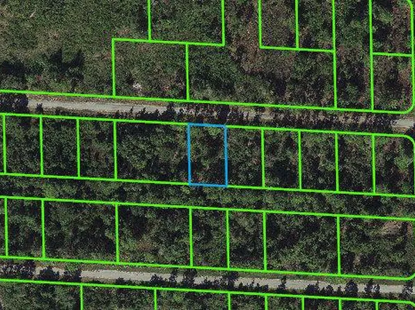 3410 Sandhill Crane Ave #28, Lake Placid, FL 33852