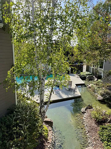 4850 Lakebird Pl Photo 1