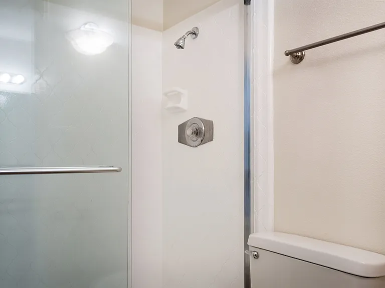Master Shower