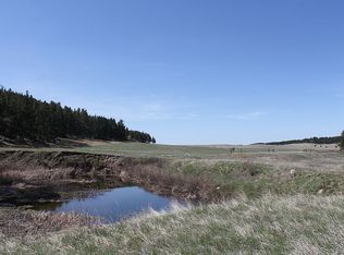 11807 18 Mile Rd, Custer, SD 57730