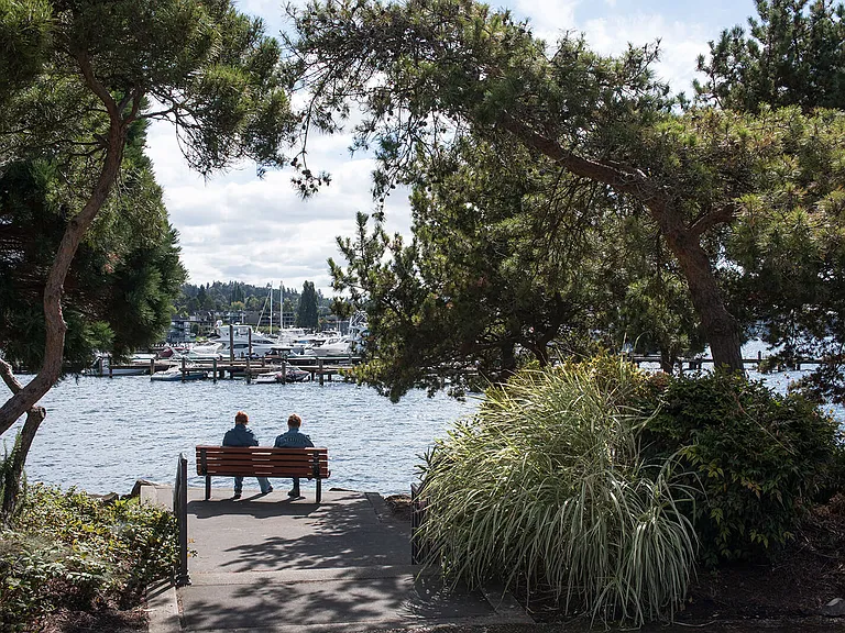 Visit the marina on a sunny day