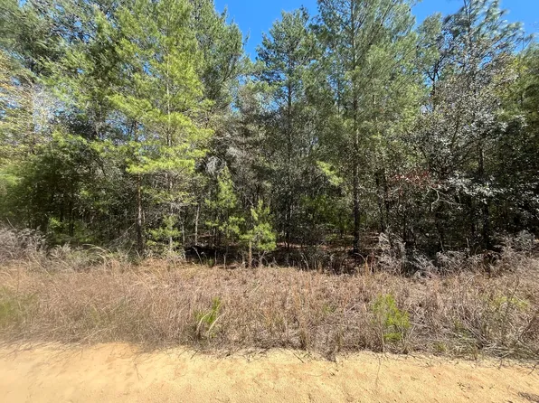 (undisclosed Address), Interlachen, FL 32148