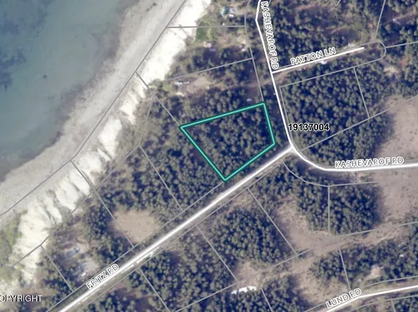 L29-B7 Kashevarof Rd, Seldovia, AK 99663