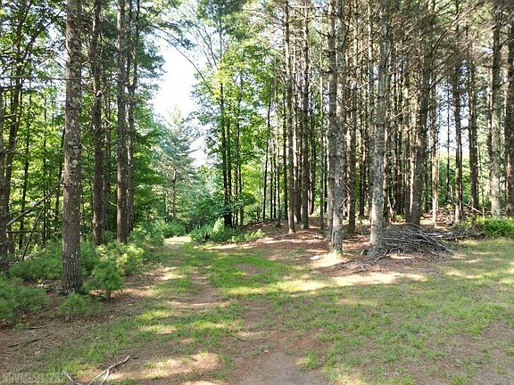 5th image of 221 Blue Deer Run NW