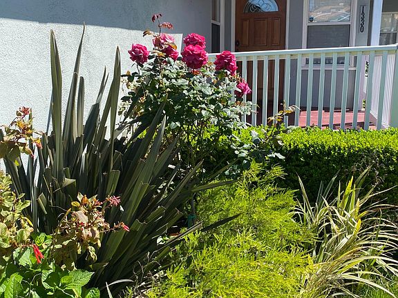3rd image of 1330 Manhattan Beach Blvd