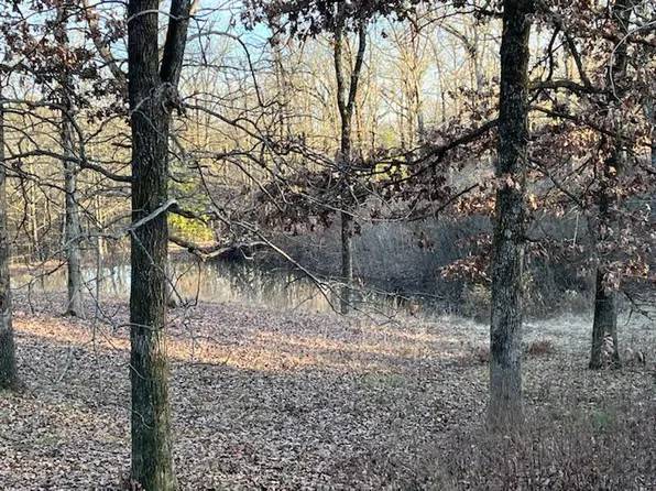 1100 Heather Ln, Sulphur Rock, AR 72579