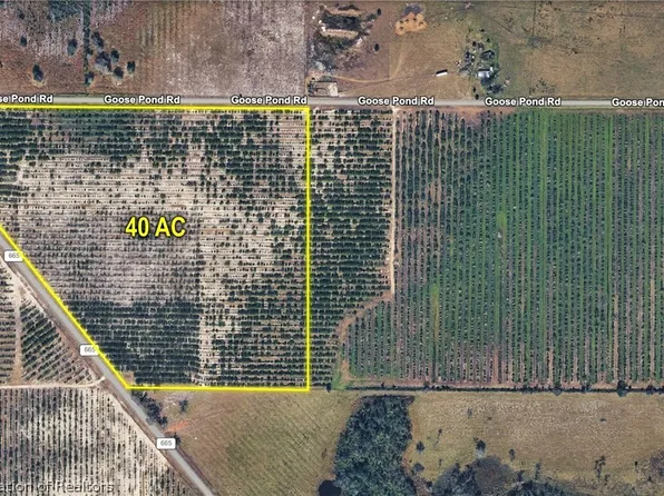 Goose Pond Rd, Ona, FL 33865