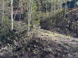 7394 County Road 43, Bailey, CO 80421