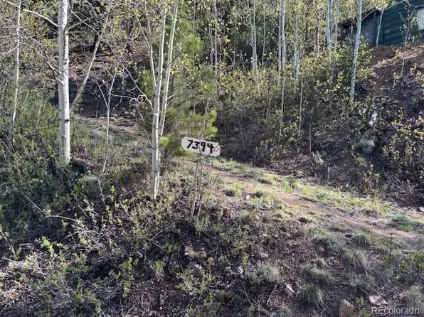 7394 County Road 43, Bailey, CO 80421