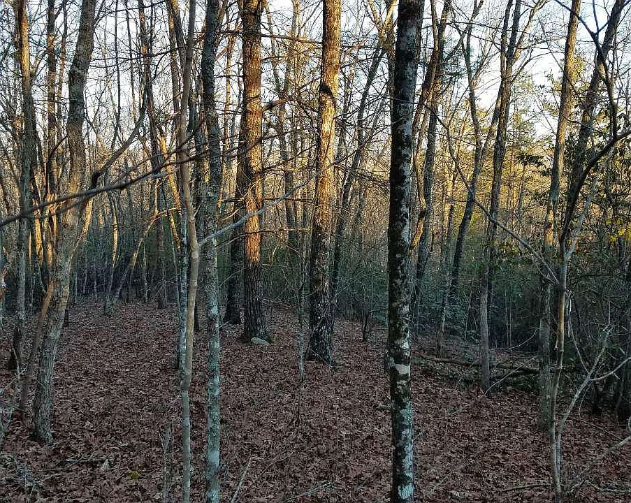 2nd image of Cornwell Ln