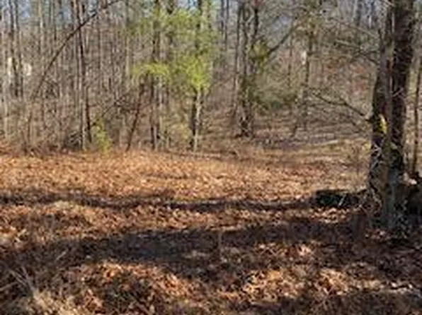 2 Hickory Creek Rd, Louisa, VA 23093