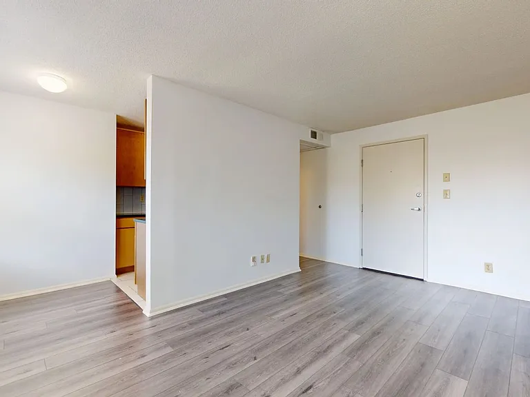 Dining/Living room