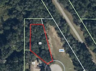 3290 N Sherlock Point, Hernando, FL 34442