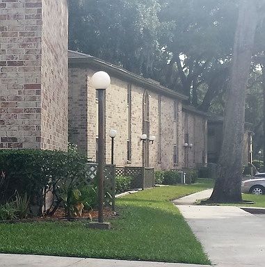 2nd image of 1950 Paine Ave APT 67
