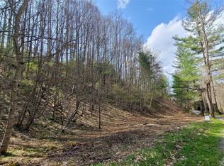 0 Joe Bailey Rd, Fletcher, NC 28732