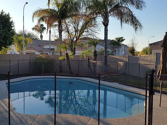 Backyard/Pool