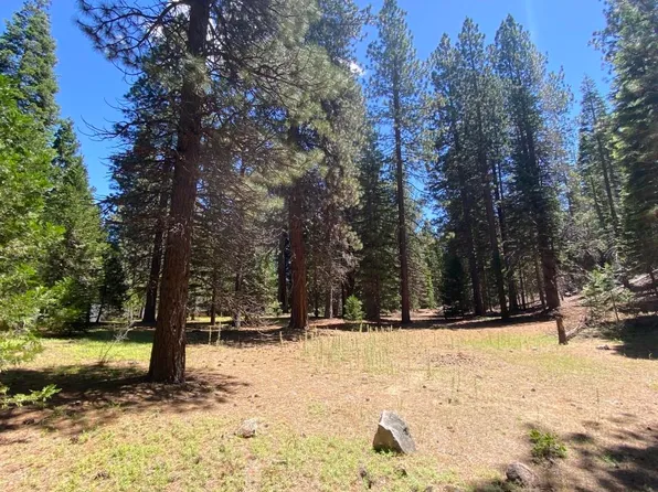3 Twin Hills Ct, Mount Shasta, CA 96067