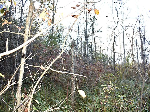3rd image of V/l 209ac Butler Rd