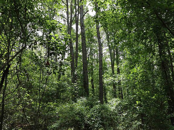 5th image of 1091 Pine Grove Rd