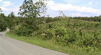2nd image of 1789 Pickaway Rd