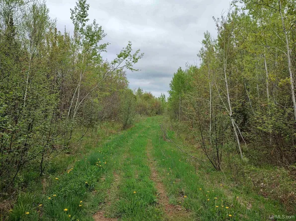 Victoria Norwich Cut Across Rd, Rockland, MI 49960