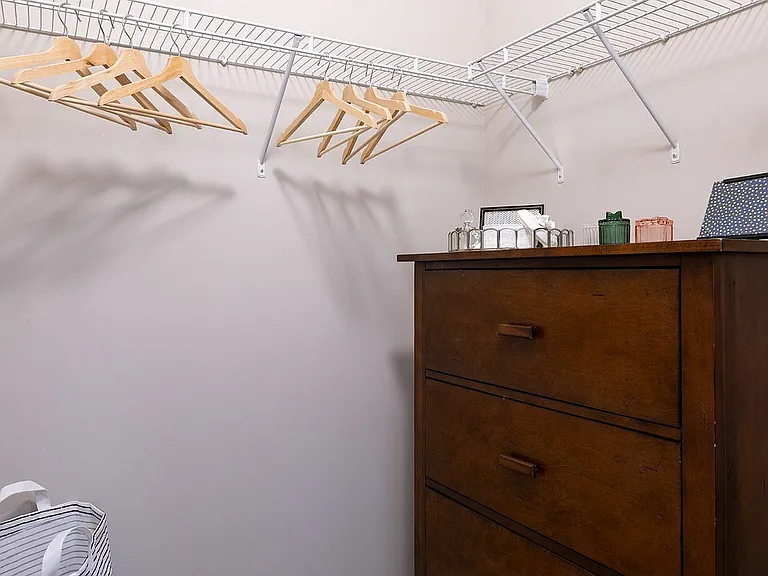 Costar Closet 3
