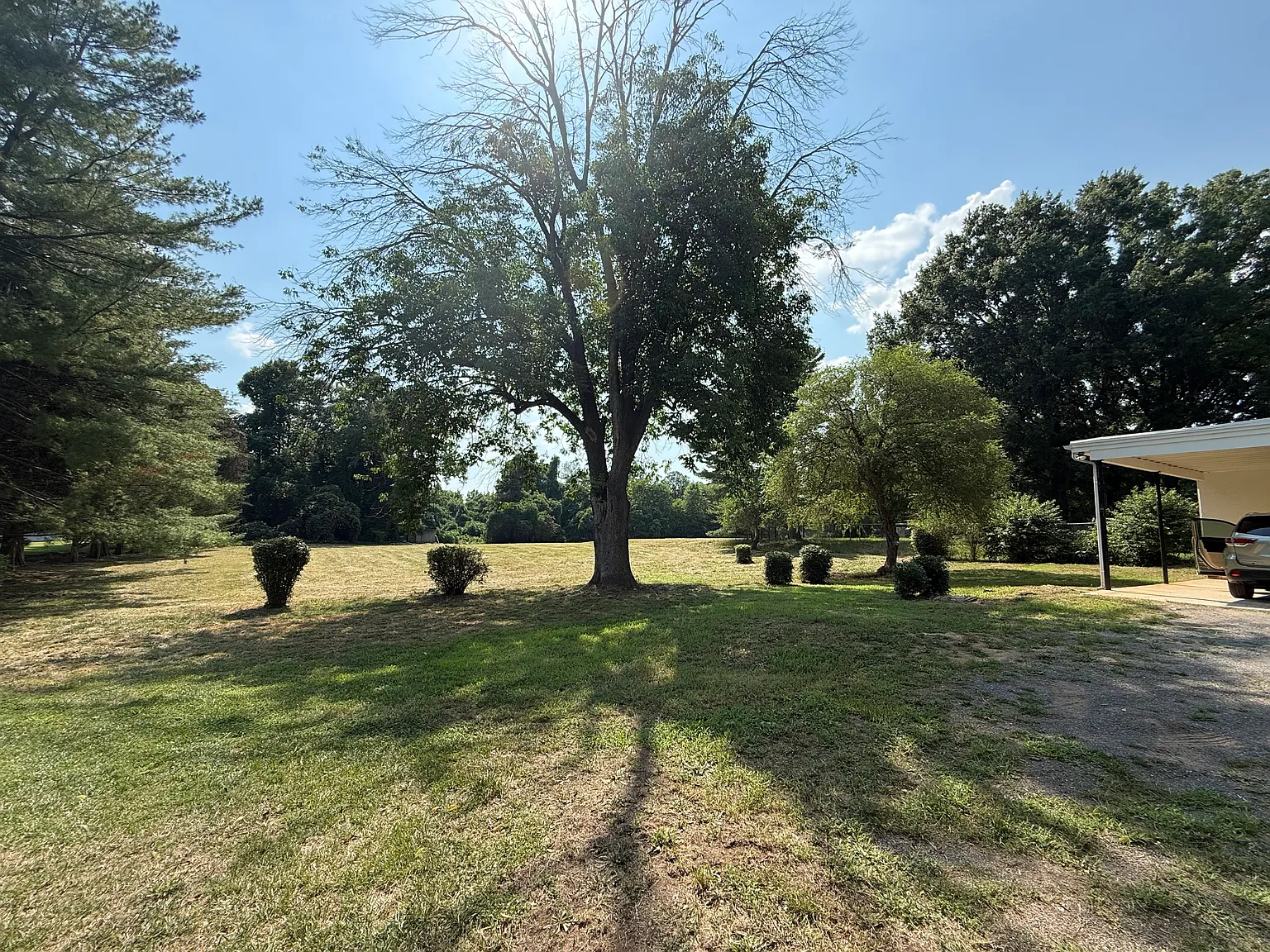 2 bed, 1112 sqft, $1,750 — Photo 4