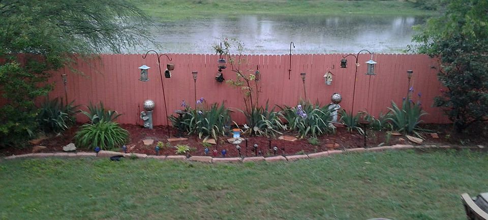 Back Yard Garden