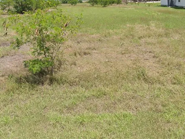 0 Roberto Longoria Dr, Santa Rosa, TX 78593
