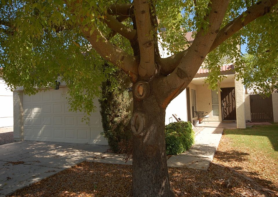 FRONT WITH SHADE TREES