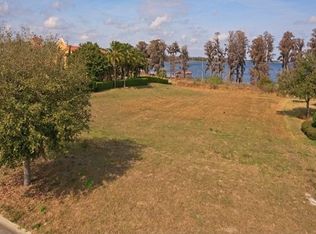 11223 Bridge House Rd, Windermere, FL 34786