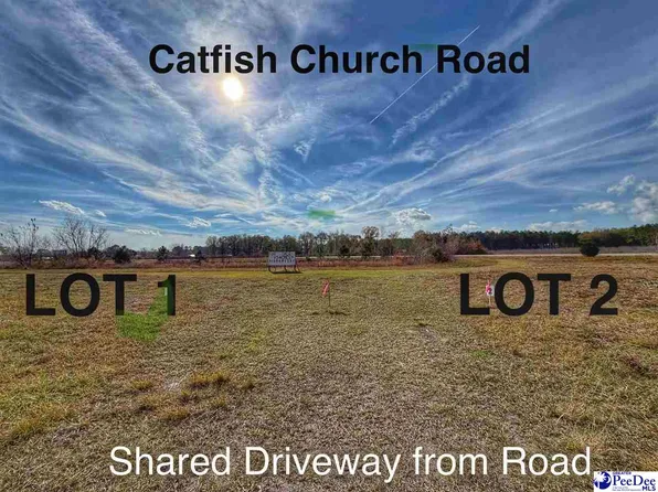 LOT 2 Catfish Church Rd, Latta, SC 29565