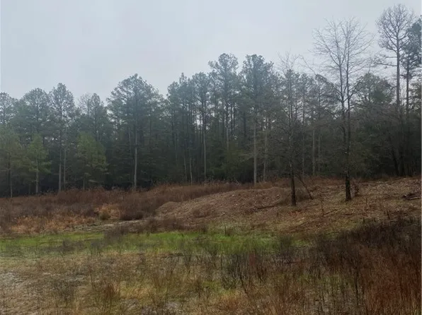 Catlett Ln, Magazine, AR 72943