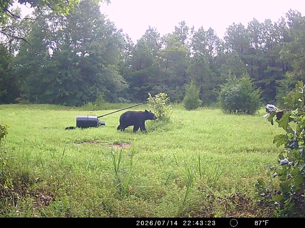 10710 Rhude Cv, Jacksonville, AR 72076