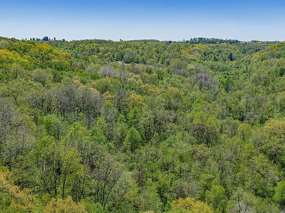 3rd image of 35.38 Acres Finnegan Road