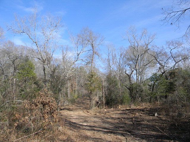 1st image of 14288 Persimmon Creek Dr