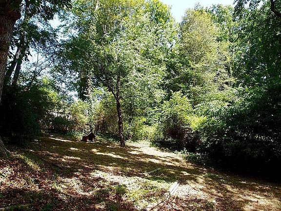 Big Backyard