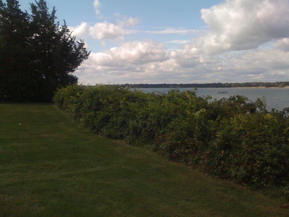 Front yard