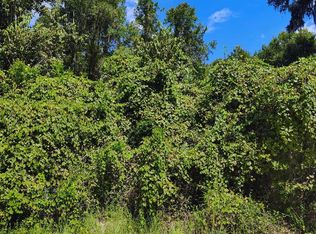 NE 386th Ave, Old Town, FL 32680