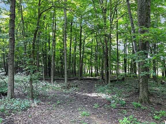3rd image of 17338 Fredericktown Amity Rd