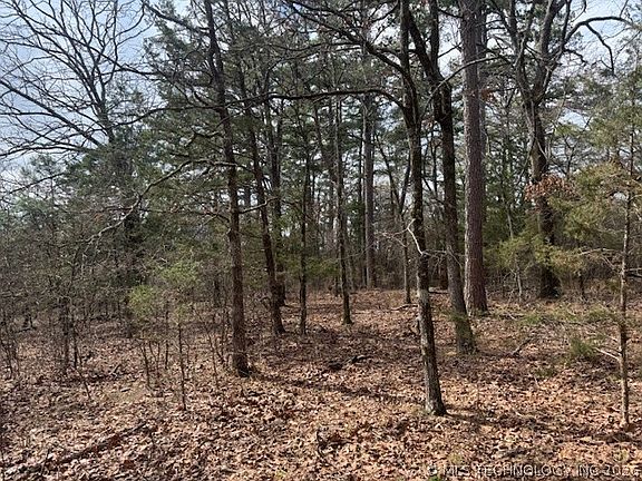 5th image of Turkey Creek Rd