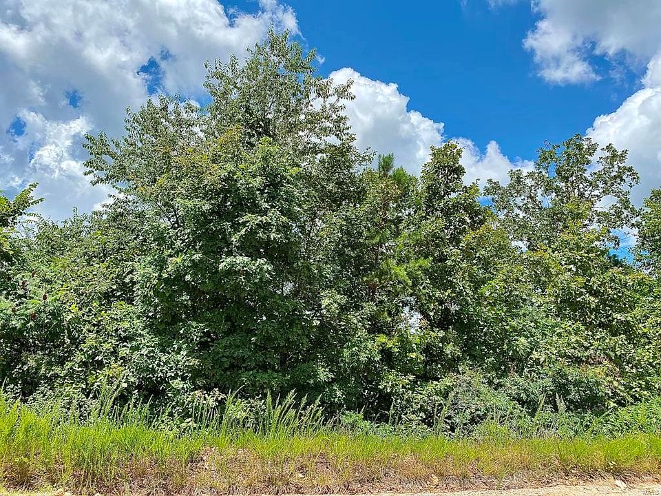 2nd image of 0 County Road 521