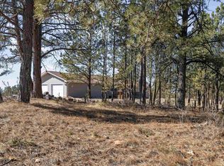11981 Mountain Lion Ln, Hot Springs, SD 57747
